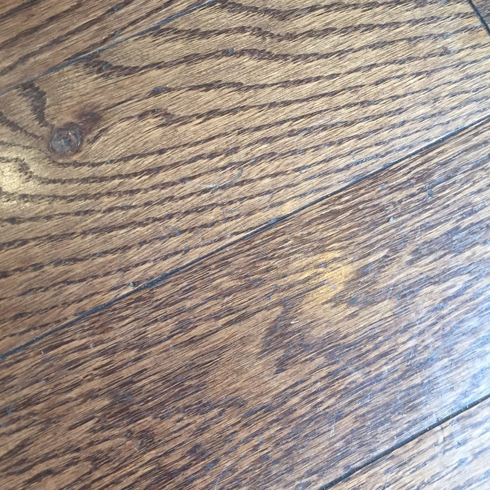 Meet your Posher, Katharine